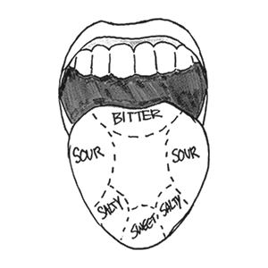tongue map