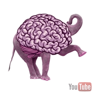 elephantbrainz