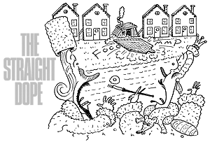 Potemkin village by Slug Signorino