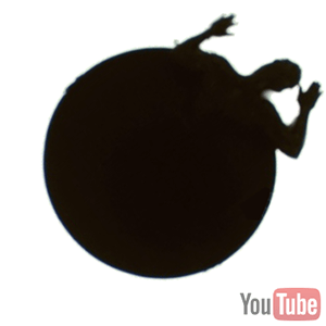 Beyond the Black Rainbow