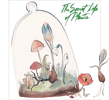 the secret life of plants by kelsey garrity