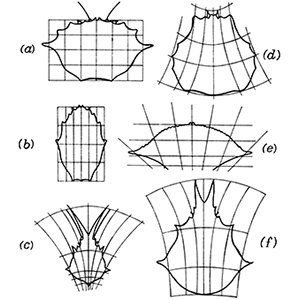 Cartesian transformations of crabs by DW Thompson Cartesian transformations of crabs by DW Thompson