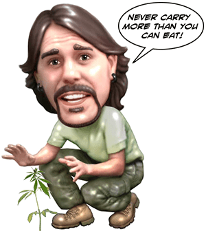 barry cooper by Denis Beauvais barry cooper by Denis Beauvais