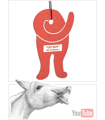 cat butt