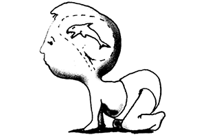 Sociobiology Sociobiology