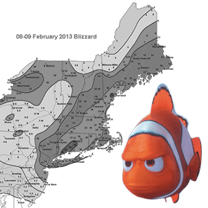 nemo