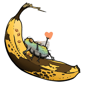 fruit fly by Emily Grandin