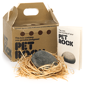 pet rock