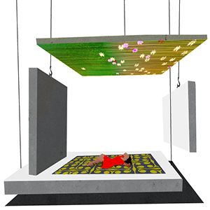 Susanka by Brian Stauffer