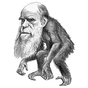darwin