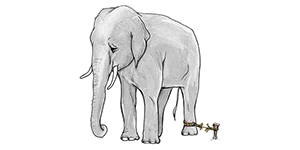 learned helplessness