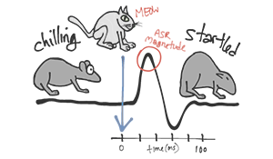 Startle Response | The Daily Omnivore