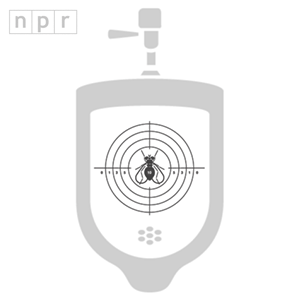 urinal fly