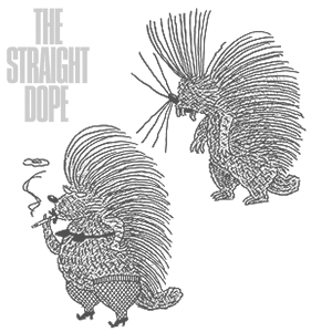 porcupines by Slug Signorino porcupines by Slug Signorino