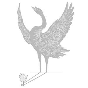 ugly duckling by Heng Swee Lim