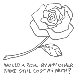 rose by any other name