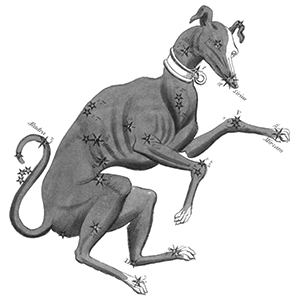 Canis Major Canis Major