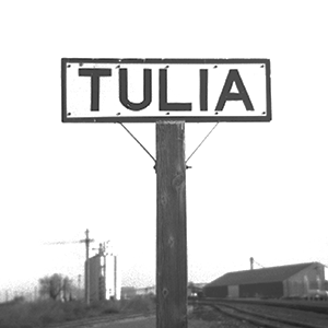 Tulia