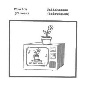 Elaborative encoding