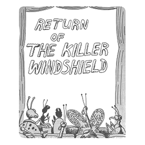 Decline in insect populations