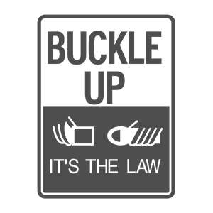 seat belt law