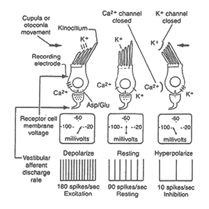 Electromagnetic Personnel Interdiction Control