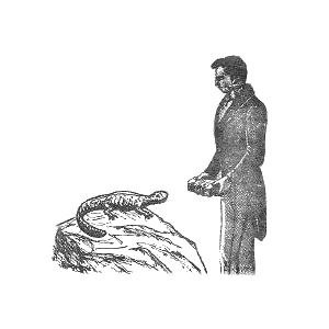 Mark Hofmann Mark Hofmann