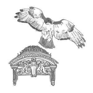 Pale Male by Julia Rothman