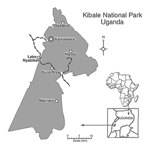 Kibale National Park
